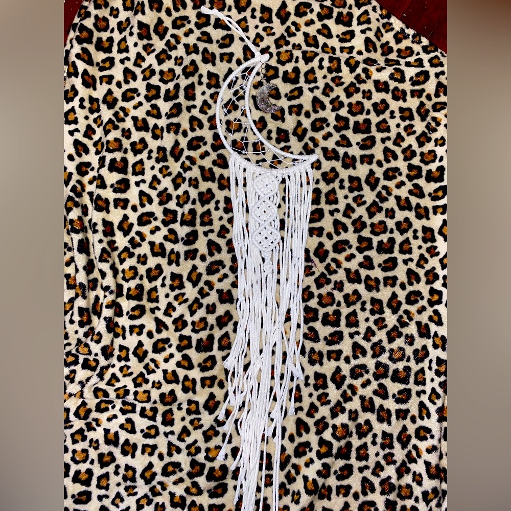 Wall Decor NWOT $5